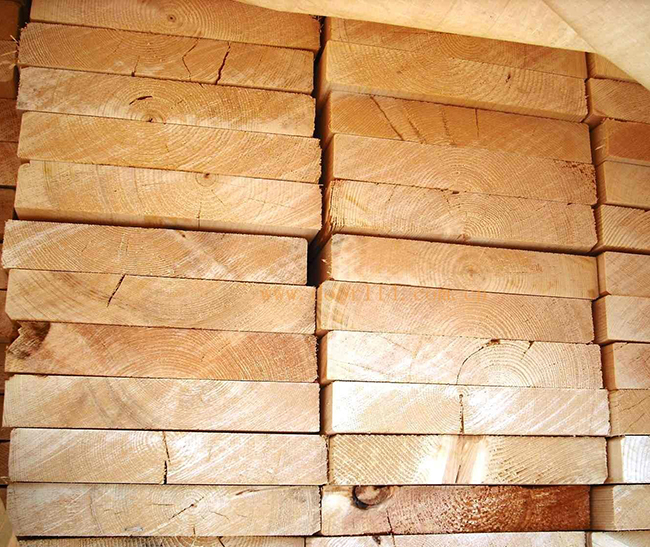 川汇智利辐射松方木