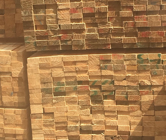 川汇新西兰进口松木